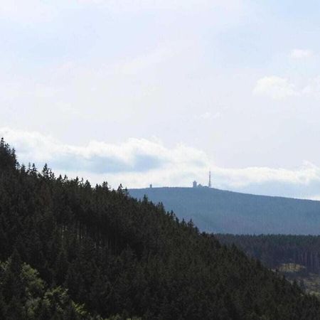 Classic Holiday Home In The Harz Mountains 伊尔森堡 外观 照片