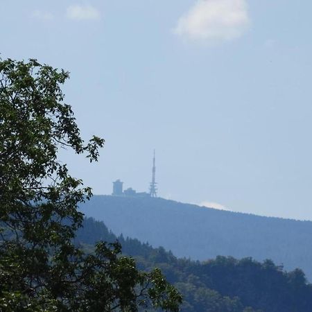 Classic Holiday Home In The Harz Mountains 伊尔森堡 外观 照片